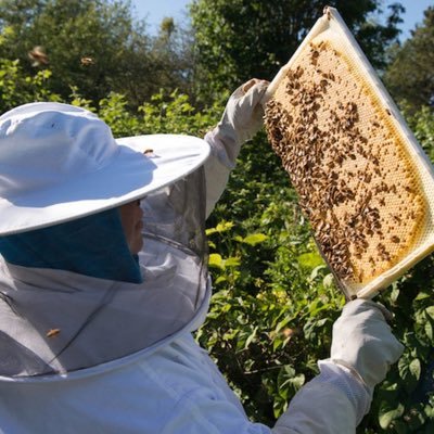 beekeeper/business owner/farmer/marketing lady