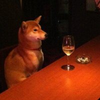 Stryder (@stryderow) 's Twitter Profile