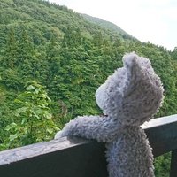 しゆ (@shiyu_ut) 's Twitter Profile