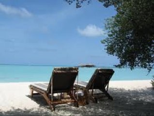 monreve2015's profile picture. 宝塚をこよなく愛してます