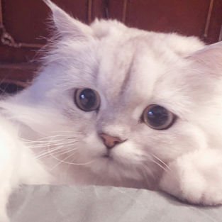 Mandysolovely's profile picture. Is a Chinese who wants to learn English.