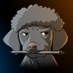 Doodle Poodle (@DoodlePoodle_X) Twitter profile photo