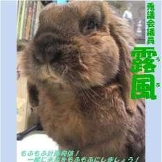 動物好きな家族と笑って暮らす💕ホッキョクグマ🌟演劇📗映画(自称おすぎさんの末弟子)📻️低音レディオ/GREEN DAY/EXO/甲斐バンド/電夏/茶道(命名庵名/パンとケーキ作り/謙虚に學び成長したい♪2010.7.1【国境なきうさもふ団エンタメ担当】2012.1.28露風お月様へTRM48No20/肉球新党