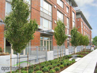 Court17apts's profile picture. One of the best in the northwest! Luxary studios, 1 & 2 bedrooms could always enhance your style! Call us today! 253-274-9000 or check out http://t.co/EMEowkBz