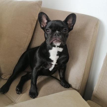 alejoarango9's profile picture. 