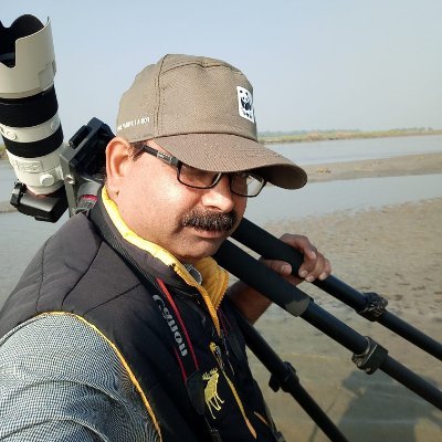 Photojournalist for The Times of India, Meerut