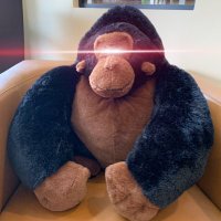 rumcycle (@rumcycle) 's Twitter Profile