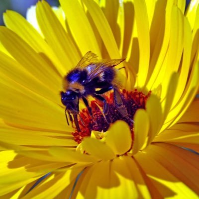 Hoshino1524's profile picture. Eile mit Weile. 英語、ドイツ語、歴史が好きです。