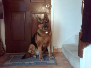 deenaber115's profile picture. 