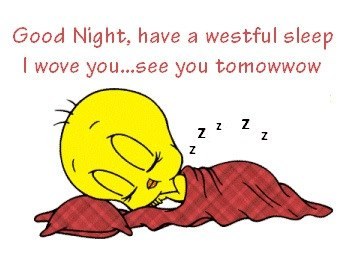 RenaeHalford's profile picture. Sweet little, old lady who lives with my cats, dogs and two of my children, who take great care of me! Sweet little old lady! HA! No more sweet!! 03-12-36 78