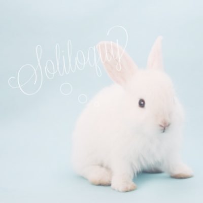 ∬さんのプロフィール画像