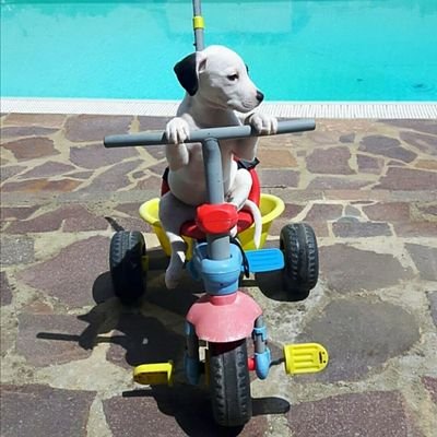 NonSoUmile's profile picture. 