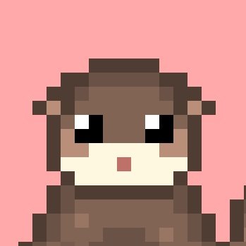 stackotter Profile Picture