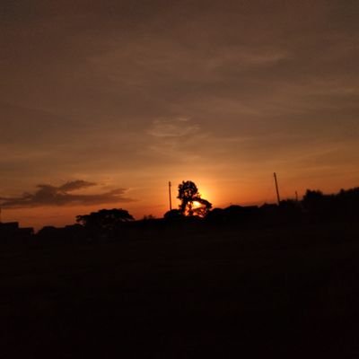 aizoKaranja's profile picture. 