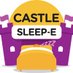 CASTLE Sleep-E Study (@CASTLE_Epilepsy) Twitter profile photo