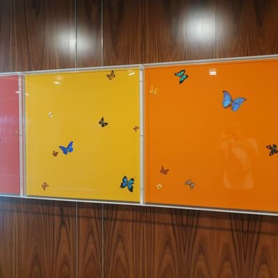 kelvinyonglf's profile picture. Designer