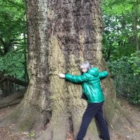 healthinfoinhubs (@wellbeinginlibs) 's Twitter Profile