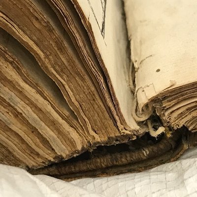 I'm a 16th century manuscript with issues. Be gentle with me!
Views my own. 
https://t.co/NVOebedcT5