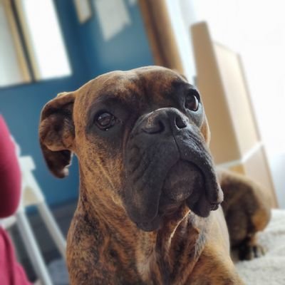 AnthonyPolisset's profile picture. 