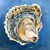 theoystergallery (@theoystergalle1) Twitter profile photo theoystergallery (@theoystergalle1) Twitter profile photo