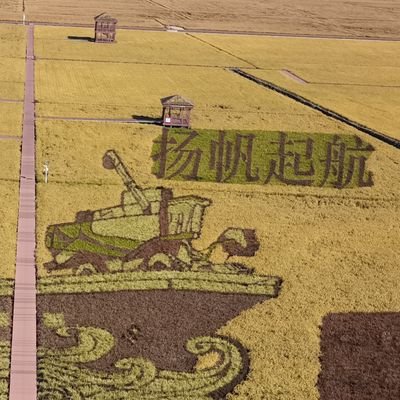 7gAxIW6gc7QvOEA's profile picture. 看看不一样的世界