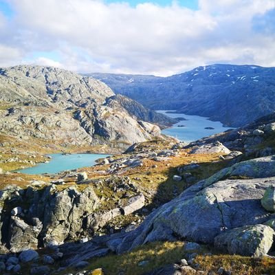 zzielonny's profile picture. Elo ;) DEVE