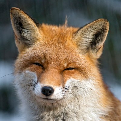 Tylet86586846's profile picture. Fan page for @Mr_Agent_Jones