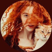 Cat Mom(@LadyDonKishot) 's Twitter Profile Photo