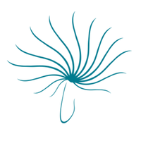 Rottinger_Lab (@rottingerl) 's Twitter Profile Photo Rottinger_Lab (@rottingerl) 's Twitter Profile Photo
