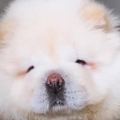 なっちゃん#フォロー返します！！さんのプロフィール画像