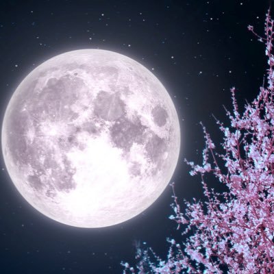 好きな物を集めて見ているだけ！ I just collect things I like and look at them！