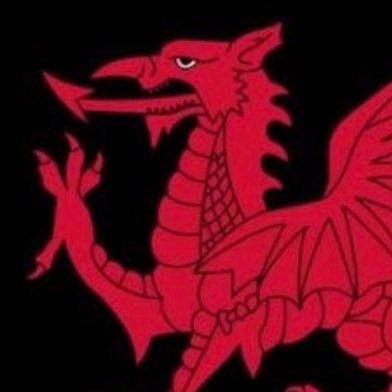 Llafur_Cymru's profile picture. Socialism for Cymru - because Wales needs a Labour movement that’s actually for Wales.