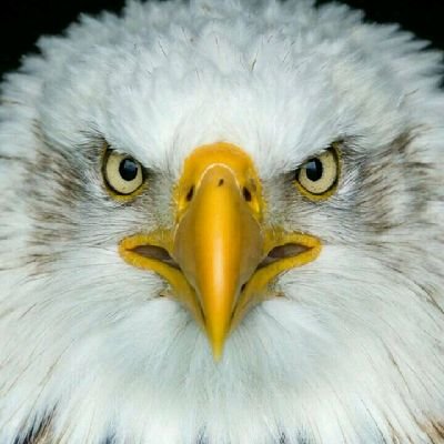 ModiKill's profile picture. ‏لاعب ببجي