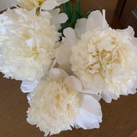 ナナコ (@9yiwlttbgbuppdh) Twitter profile photo