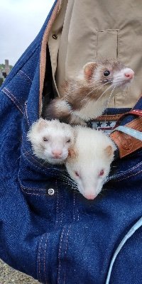 DGBpNsIqFodXsYD's profile picture. 楽しみ