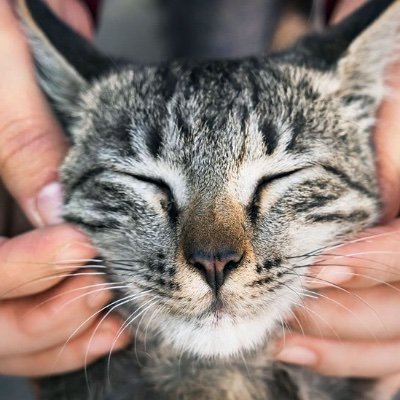 nigelfurtado's profile picture. 