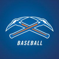 UW-Platteville Baseball(@UWPlattBaseball) 's Twitter Profile Photo