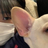 Ai (@jah6v8) Twitter profile photo