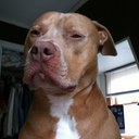 Brooke Briggs - @BrookeEBriggs - Twitter