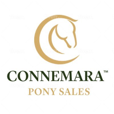 Ireland’s Leading & Largest Sale of Connemara Ponies based in Clifden, Co. Galway.