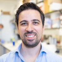 Hugo Vicente Miranda (@hmvmiranda) 's Twitter Profile