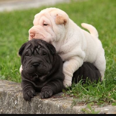 s042456583801's profile picture. 