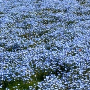 avjmxrjwvv's profile picture. 