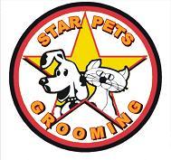 star pets salon anjing dan kucing keliling | contact : 082213940816 - 087821196641 | since 2005