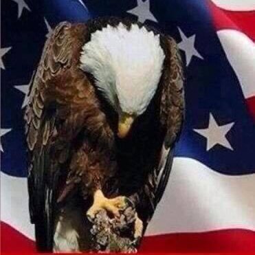 FilePatriot's profile picture. Husband, Father, Grandfather, Entrepreneur, Conservative, Prolife, Catholic, Sports fan #MAGA #IFAB