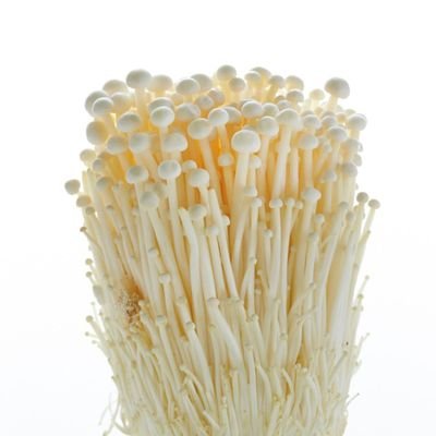 kclim85589375's profile picture. 