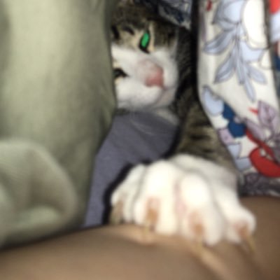 33733e1310452's profile picture. me hierve la sangre y como hablo sola x la calle mejor x aquí pnsamientos impulsivos d mi para mi YOLANDA RAMOS ES MI PASTORA