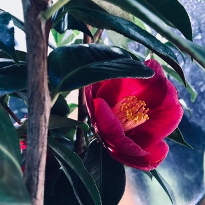 茶粥さんのプロフィール画像