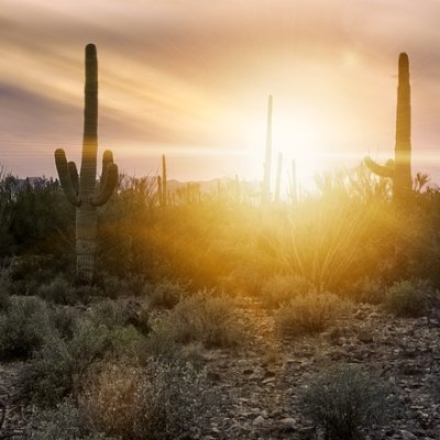 Promoting social and economic prosperity through #EnergyEfficiency and greater #ResourceProductivity. Drawing on wisdom of and inspired by the #SonoranDesert.