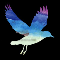 kmiyachi1024's profile picture. 